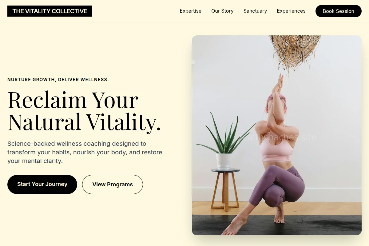 HealthCoaches.Site